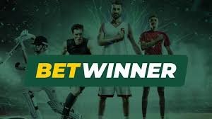 How to Log In to Your BetWinner Account 2059620298