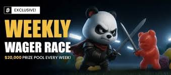 Digital Minimalism for Crypto Gamblers