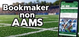 Siti Non AAMS Senza Documento Scelte Sicure per il Gioco Online