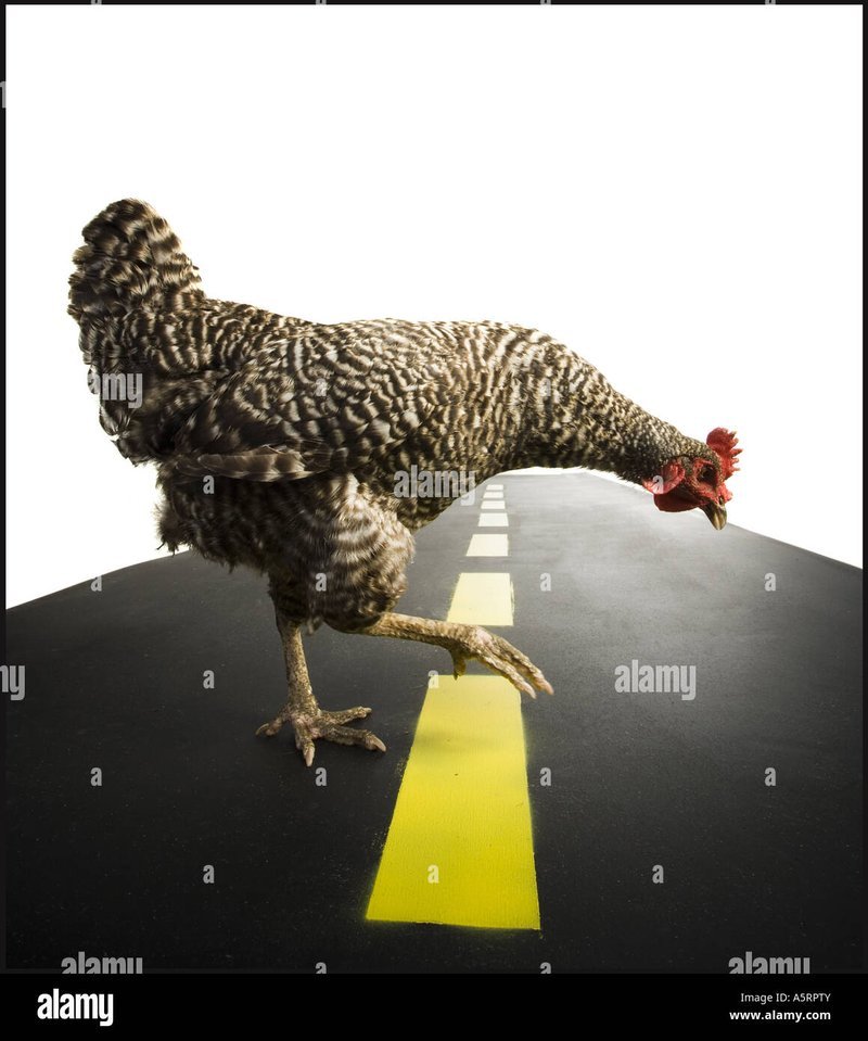 Best chicken road online in Netherlands