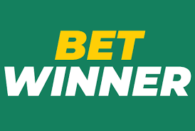 BetWinner Aviator - Comprehensive Guide to the Exciting Game