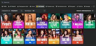 Download the Official JB Casino Application for Ultimate Gaming Experience