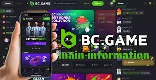 Explore the Features of the BC.Game Online Platform Explore the Features of the BC.Game Online Platform