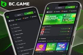 Resolving BC Game US Login Problems A Complete Guide Resolving BC Game US Login Problems A Complete Guide