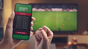 Tout Savoir sur Betwinner  Guide Complet pour les Paris Sportifs